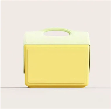 پلٹائیں ٹاپ موصل کولر باکس